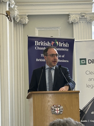 Irish Financial Services Minister